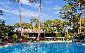 Vvf Lege Cap Ferret